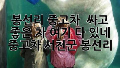 봉선리 중고차 🚗💨 싸고 좋은 차 여기 다 있네! #중고차 #서천군 #봉선리